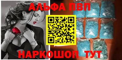 крисы Новодвинск