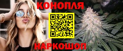 молекула духа Новокубанск