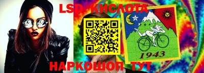 крисы Новодвинск