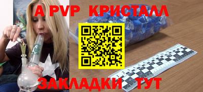 крисы Новодвинск