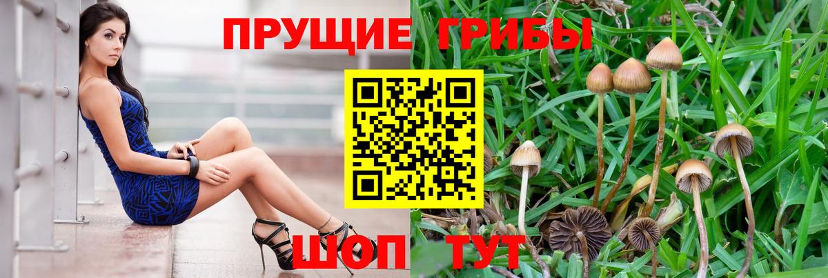 Холмск  Галлюциногенные грибы GOLDEN TEACHER  Псилоцибиновые грибы Psilocybine cubensis  Вход с VPN 
